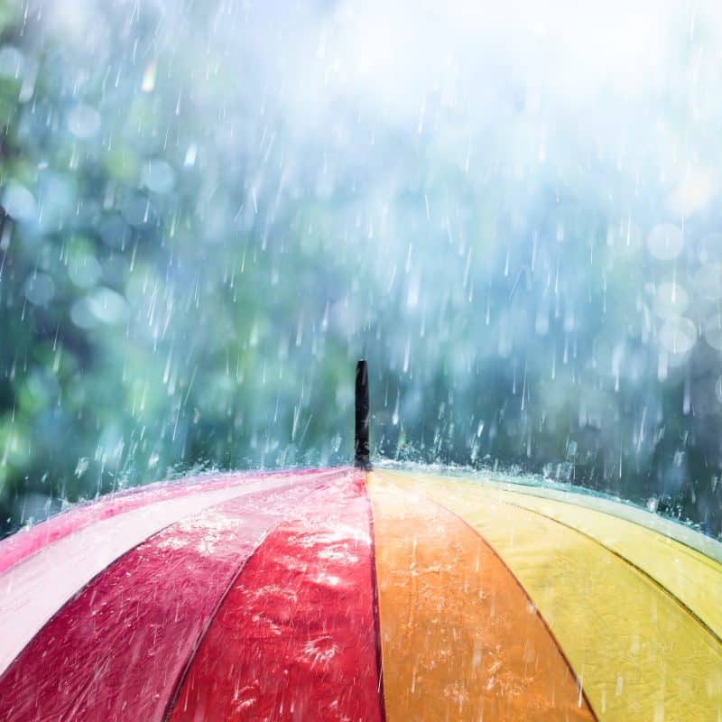 Resilience as a small business - showing an umbrella and rain