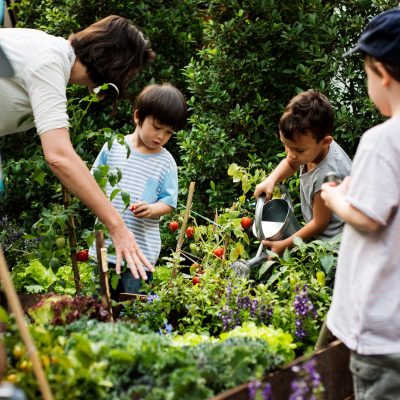 Teacher and preschool kids school learning ecology gardening