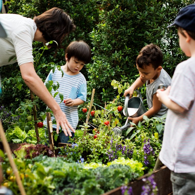 Teacher and preschool kids school learning ecology gardening