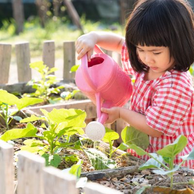 Adorable Asian homeschool little girl watering plants in the gar